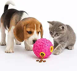 Brinquedo Pet Bolinha Bola Interativa Porta Ração Petisco Com Apito Para Cães Gatos Cachorros