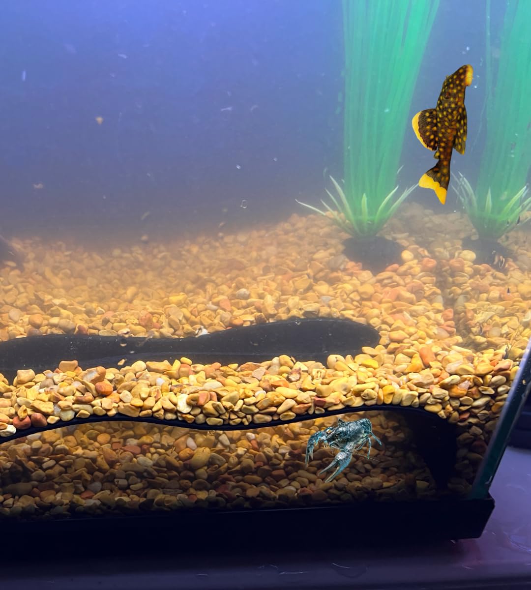 Chatelet REEFSHAPE – Abstrakter Aquarium-Tunnel | gewelltes Design, Fisch- und Garnelenversteck | Untersubstrattunnel | hergestellt in den USA (schwarz)