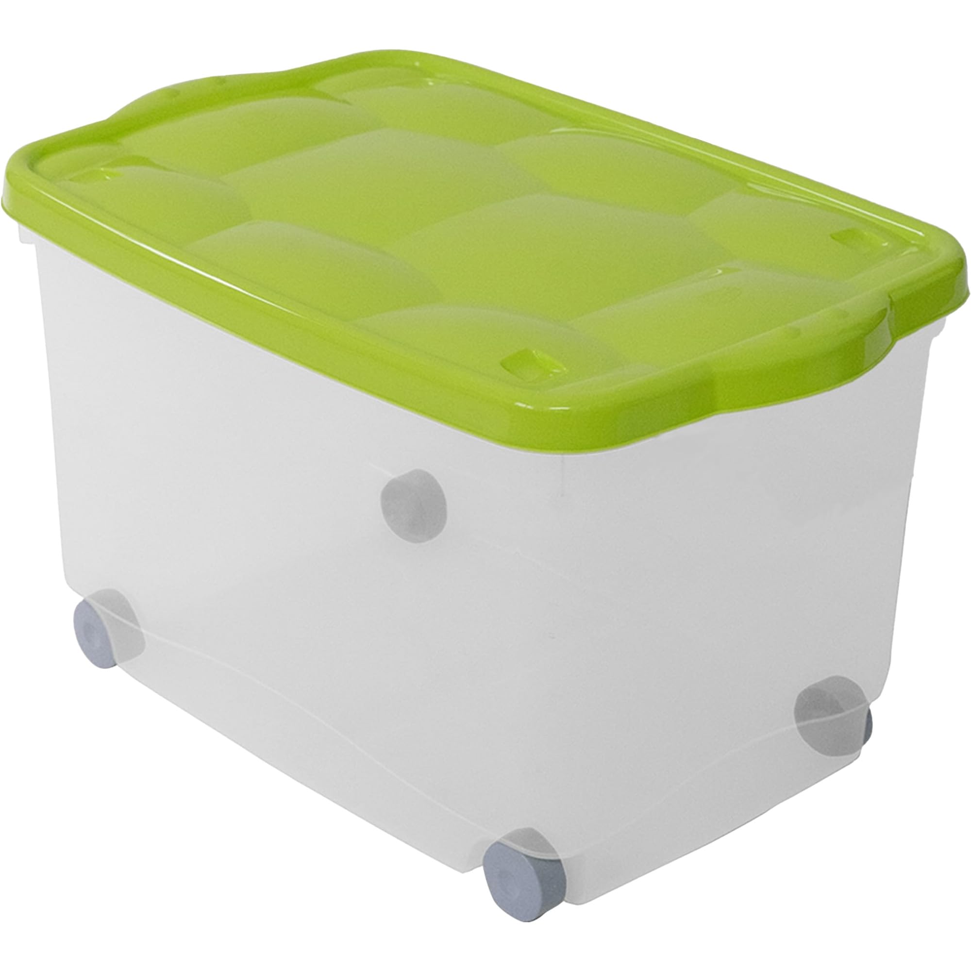 Sicignano | Mehrzweck-Aufbewahrungsbox mit Deckel in verschiedenen Farben, transparenter Kunststoff, stapelbar, rechteckig - für Wohnzimmer, Schlafzimmer, Kleidung (55 l, 2)