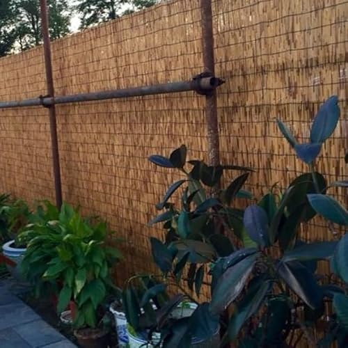 Reed Fencing Rolls For Garden,2'/2.3'/3'/3.3'/4'/5'/6' High Bamboo Privacy Fence Panels Natural Reed Screen For Backyard Pond Balconies Dark/Light (Color : Brown, Size : 3.3'H X16'L) #TOP6