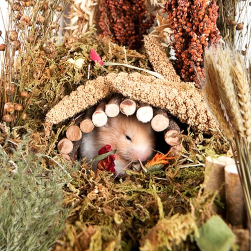 NICERINC PET Natural Ear of Grain Flower&Herb Bedding Mate Habitat Decor, Adding Fun Hamster Accessories for Hamsters Gerbils Lemming