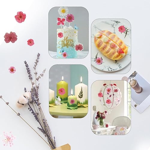 Miniatura 10 de 104 flores secas prensadas naturales de resina, flores secas para accesorios de resina, flores secas para álbumes de recortes, manualidades, moldes