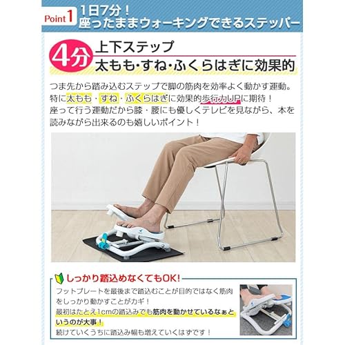 エアロライフ(AEROLIFE) ステッパー モーションナビ DR-3830 の商品画像 2