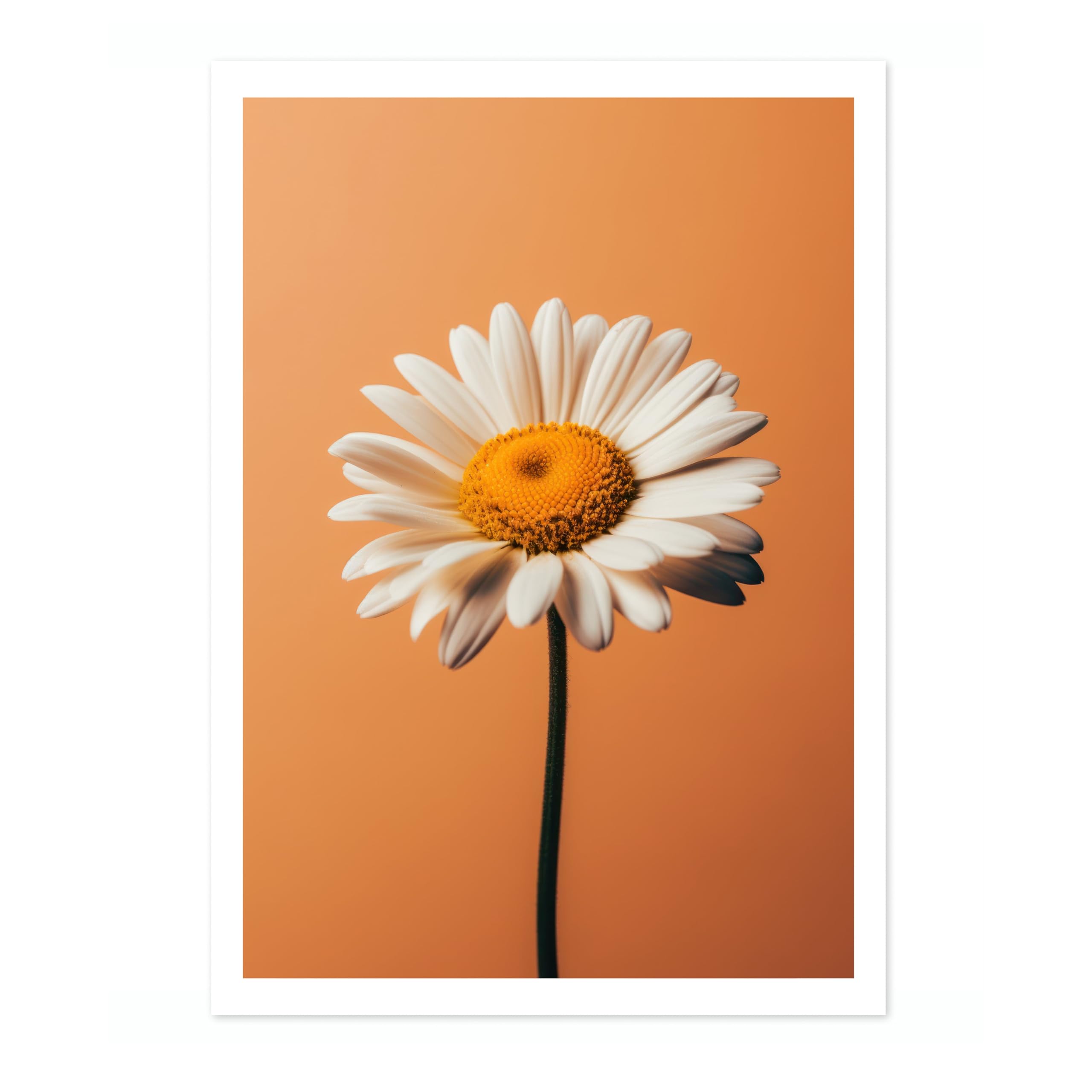 Daisy Flower Poster, Colourful Floral Home Decor Wall Art, Abstract Colourful Minimalist Bedroom Artwork Gallery, Archival Matte, A5 (Print Only) - 21x14.8cm
