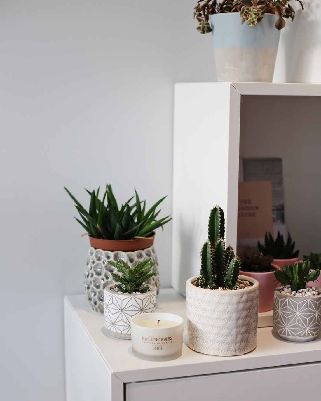 Cedar Cloves & Ambergris Woody Oriental Scented Candle Four-Wick Luxury Candle 390g