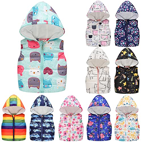 Toddler Boys Girls Winter Sleeveless Print Coat Hooded Jacket Thicken Windproof Zipper Warm 4t Toddler Girl Clothes2