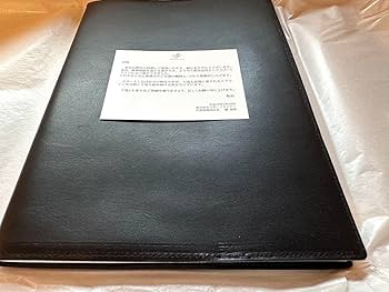 Amazon.co.jp: STARFLYER SFJ スターフライヤー初便搭乗記念グッズ