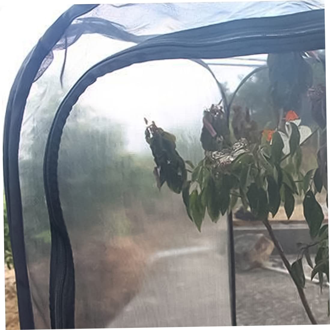 Stick Insect Enclosure Collapsible Butterfly Cage Transparent Insect Cage Net Portable Caterp illar Butterfly Habitat for Butterflies Insects Raising - 5