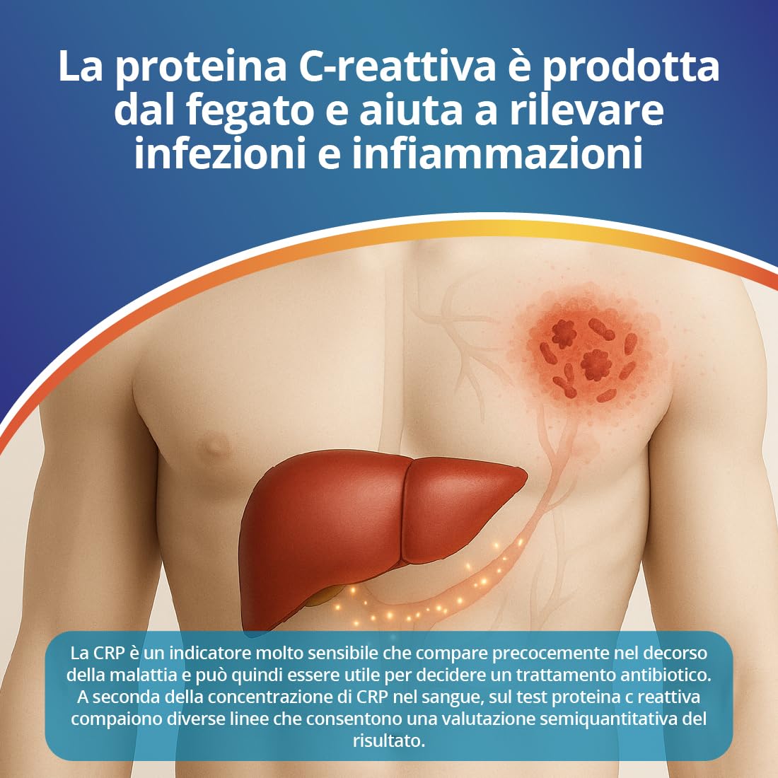 TEST PROTEINA C-REATTIVA (CRP) Adeste - Rapido fai da te per la rilevazione di malattie infettive batteriche e stati infiammatori. Confezione da 2 test