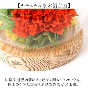 Amazon｜スフィア ガラスドームアレンジメント ガラスドーム 優