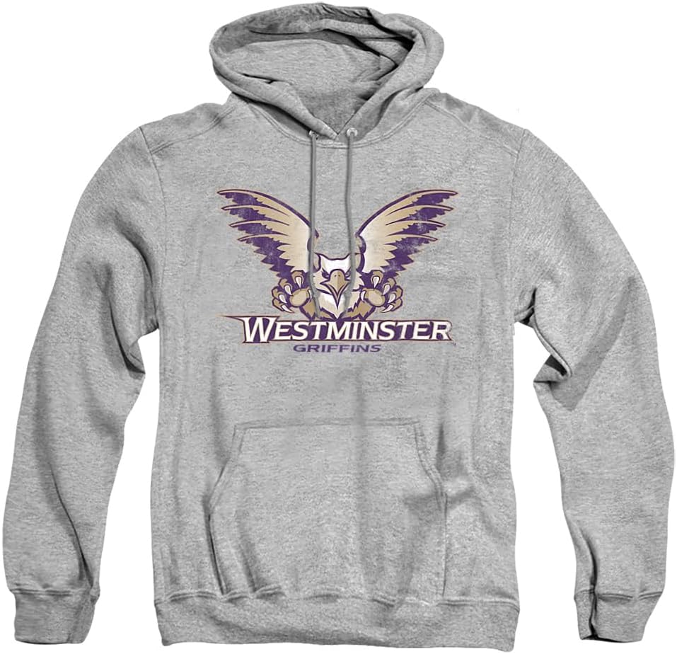 LOGOVISION Official Collegiate Distressed Primary Logo Adult Pullover Hoodie Collection