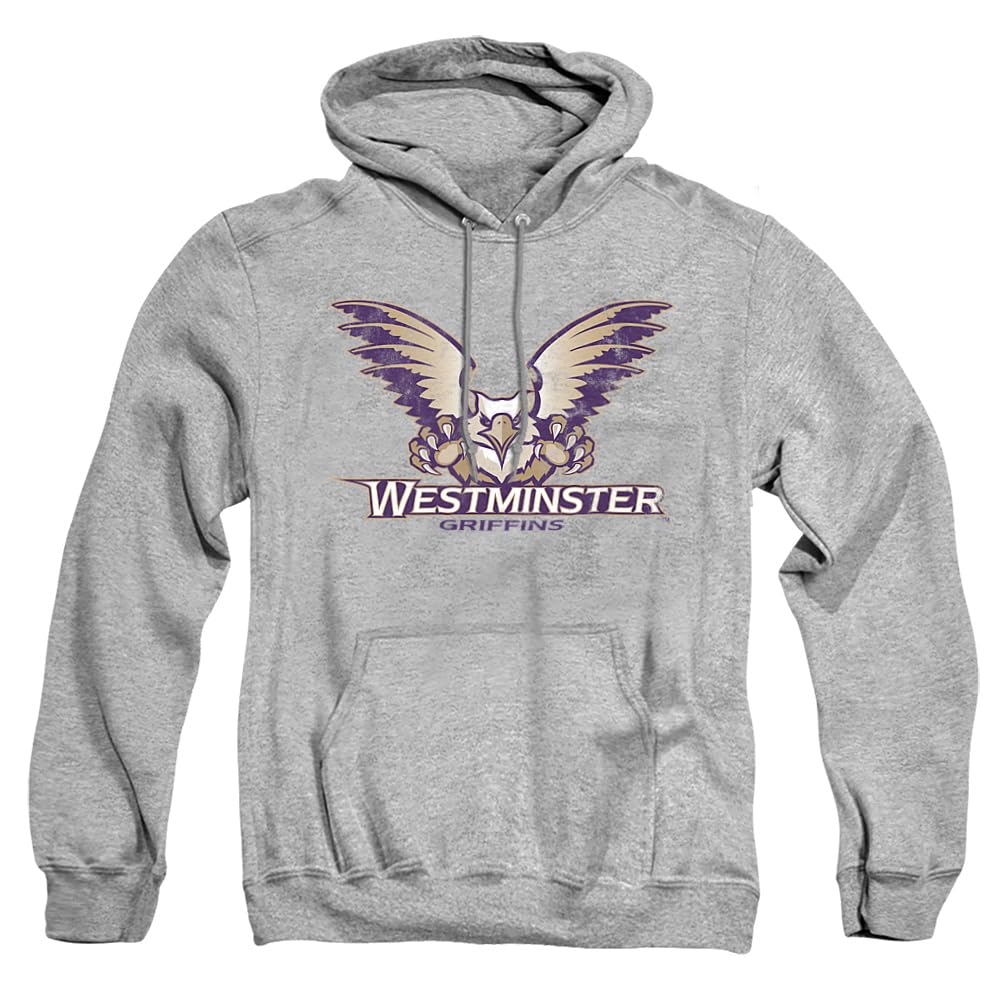 LOGOVISION Official Collegiate Distressed Primary Logo Adult Pullover Hoodie Collection — view 102
