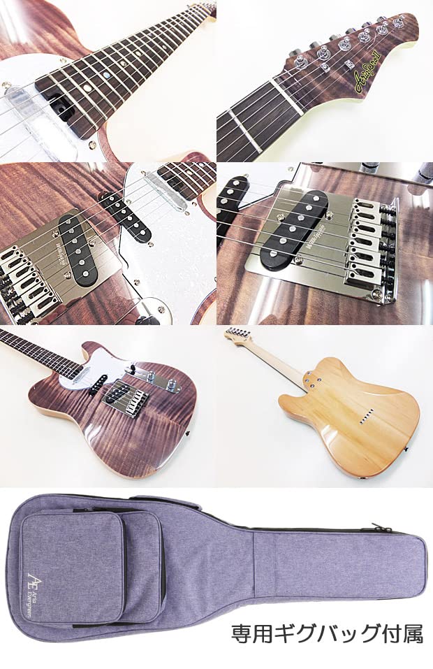 アリアプロⅡ エレキギター マルチエフェクター＆ギターギグケース付き