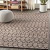JONATHAN Y Moroccan Geometric Indoor Outdoor Area Rug 8X10 Natural/Black, Ourika Textured Weave for Backyard, Patio, Porch, Easy-Cleaning, High Traffic, Pet-Friendly, Non-Shedding (SMB108D-8) #2