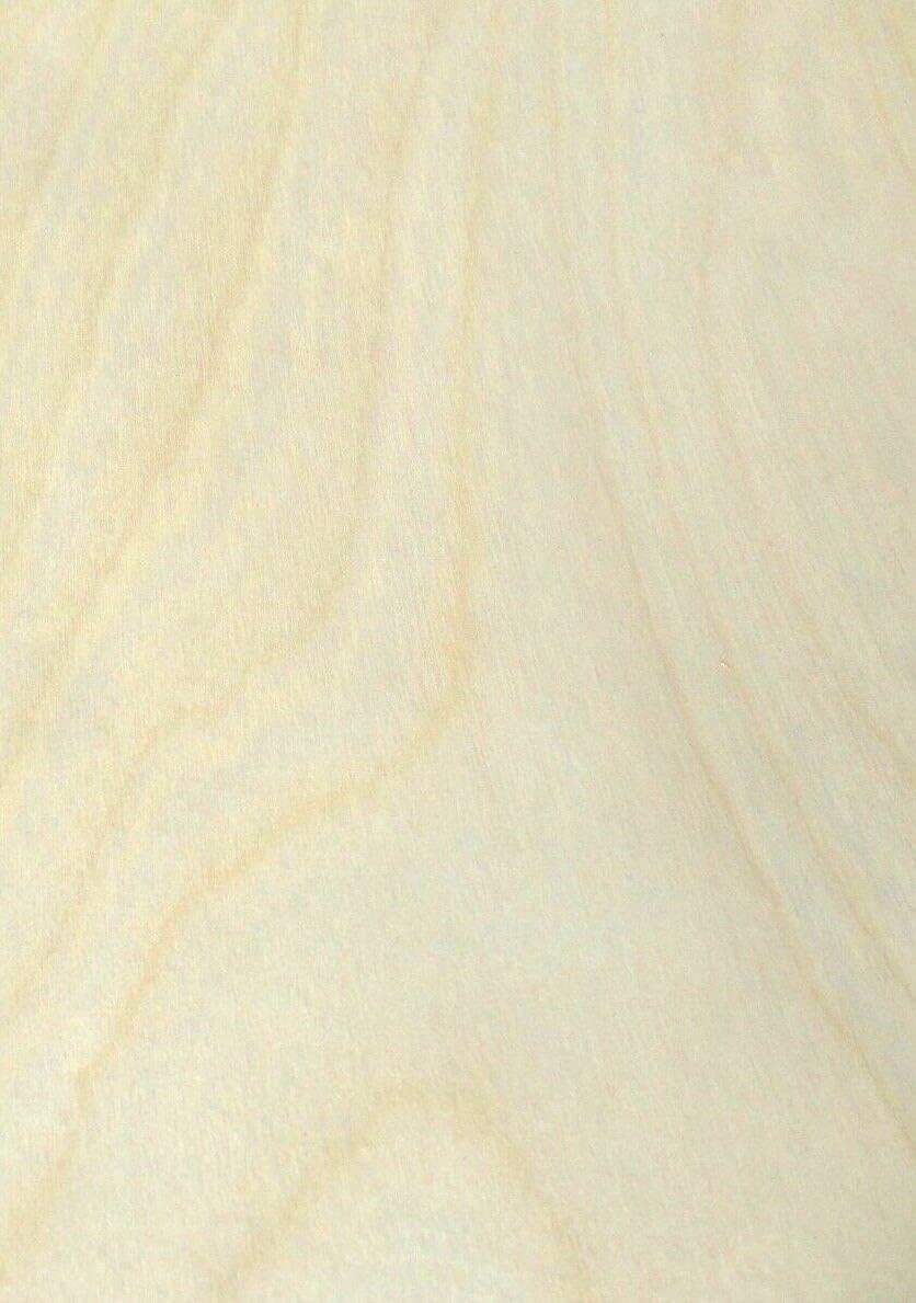 Birch White Wood Veneer 24" x 96" with Peel and Stick PSA Adhesive 1/40 Thick