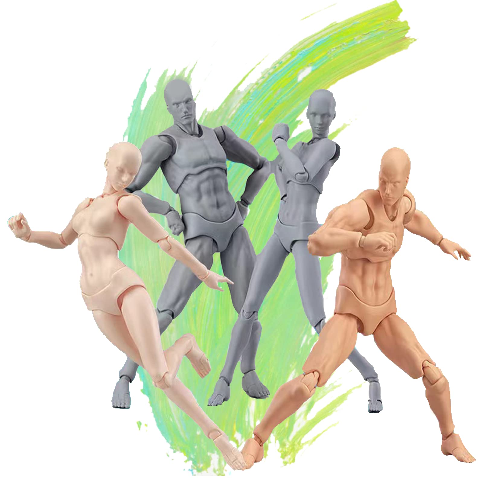 Amazon.co.jp: Gnallang デッサン人形 （男性女性モデル） 関節