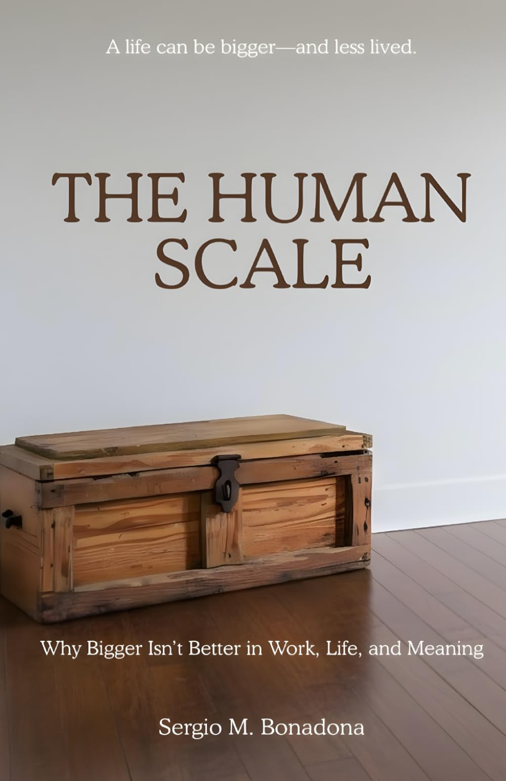The Human Scale: Why Bigger Isn't Better in Work, Life, and Meaning (Unscaled)