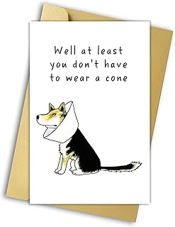 Humorous Spid Recovery Card for Him Her Friends,Funny Get Well Soon Card,At Least You Don't Have To Wear A Cone,Pug Cone Card