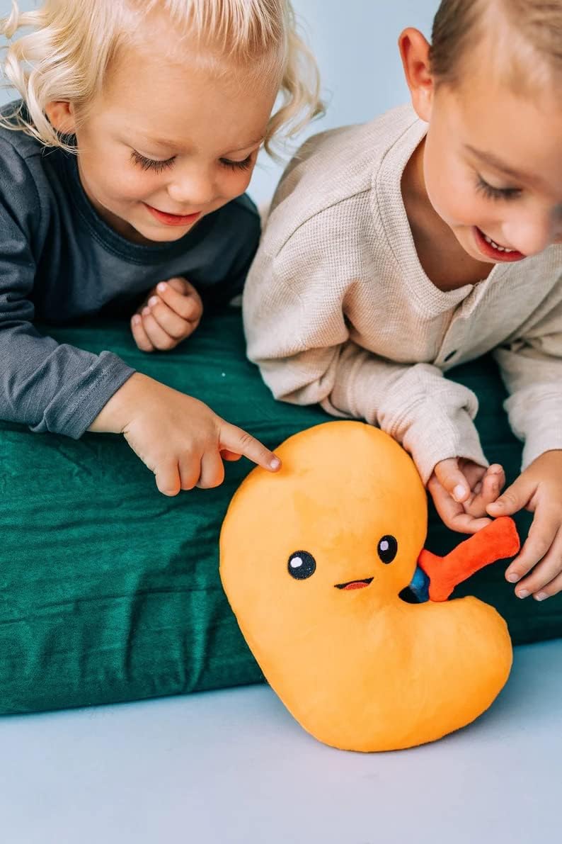 nerdbugs Kidney Plush – Funny Urology Gift, Transplant & Dialysis Recovery Toy, Donor Appreciation, Nephrology Gift for Nurses, Doctors, Med Students, Adults & Kids - Image 5