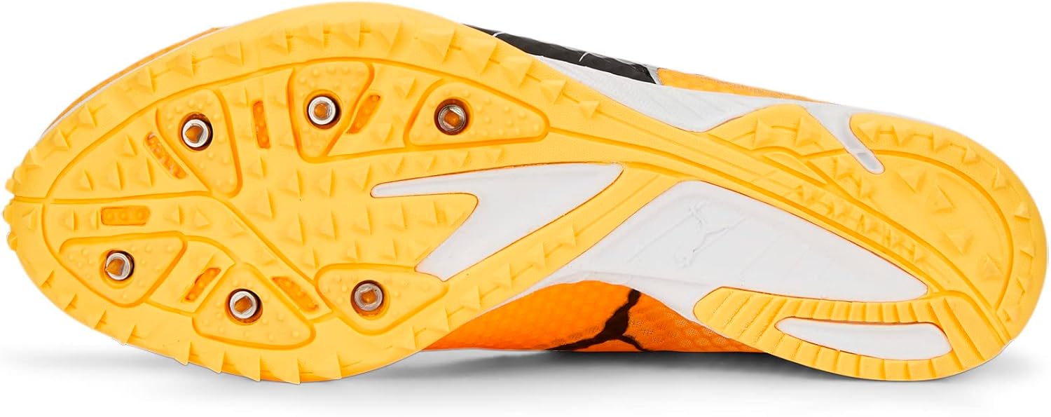PUMA Men's Regular Long Distance Evospeed Haraka 7 Track & Field Shoes