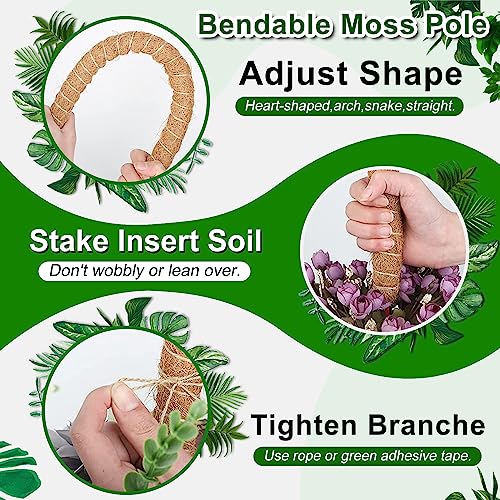 55 Zoll Moosstange für Pflanzen Monstera - Biegbare Pflanzstäbe für Innen, Moosstangen für Kletterpflanzen, Moosstange Pflanzenstütze für Creeper Pflanzen wachsen nach oben. – Bild 4