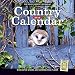The Old Farmer's Almanac 2018 Country Calendar