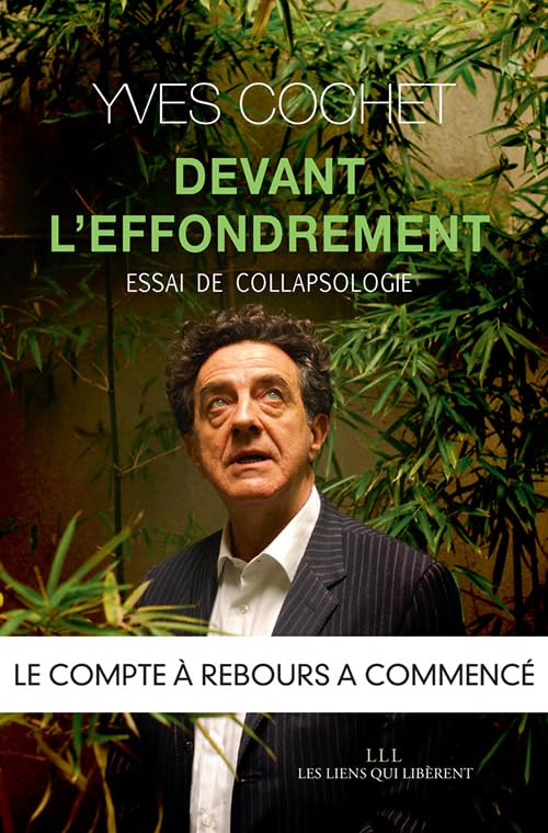 Devant l'effondrement: Essai de collapsologie