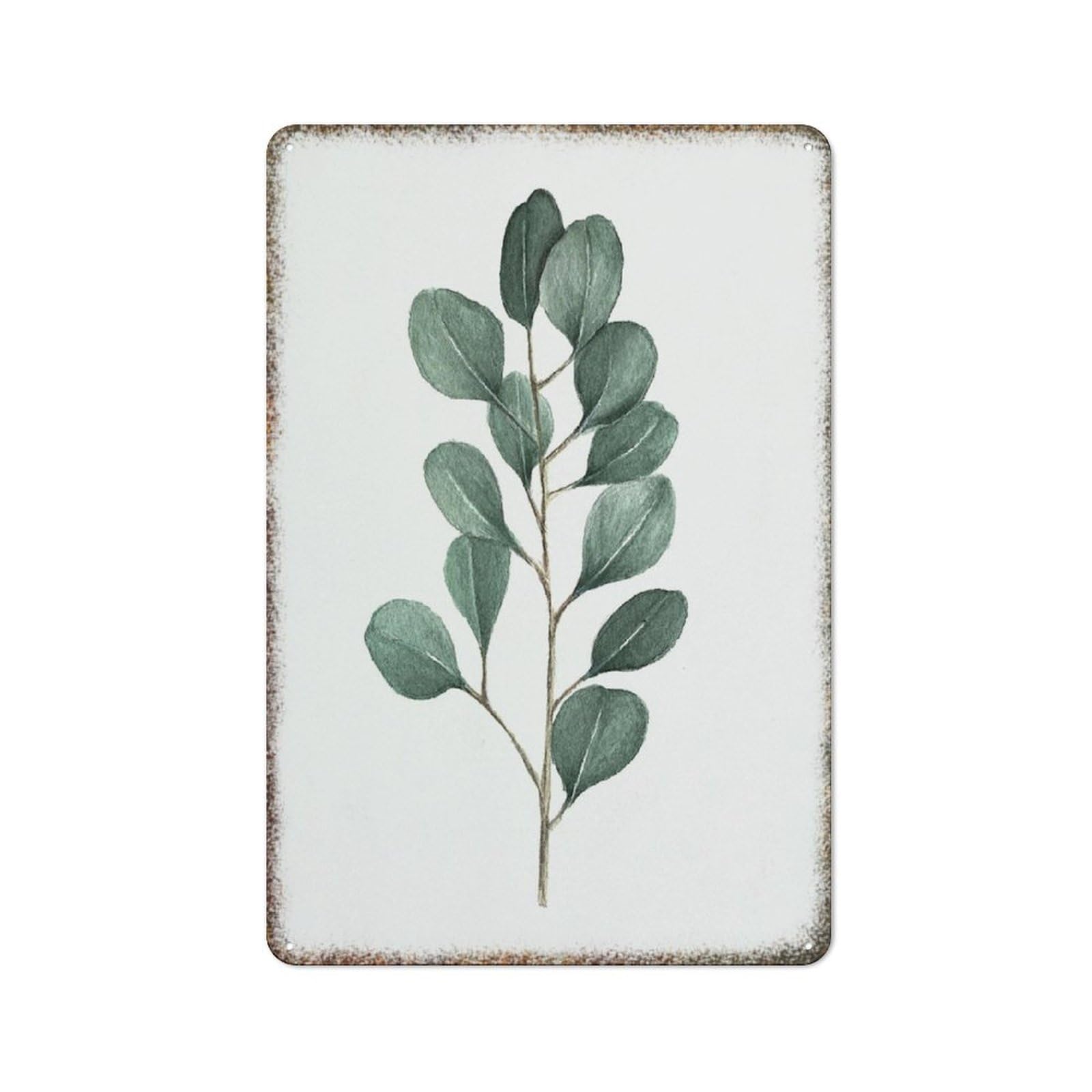 Watercolor Eucalyptus Simple Nature Vintage High Gloss Metal Home Wall Art 8x12 inch