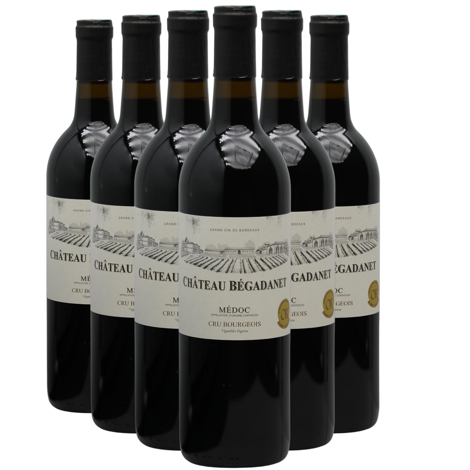 Château Begadanet Médoc Cru Bourgeois - Rouge 2022 - Vin Rouge de Bordeaux (6x75cl)