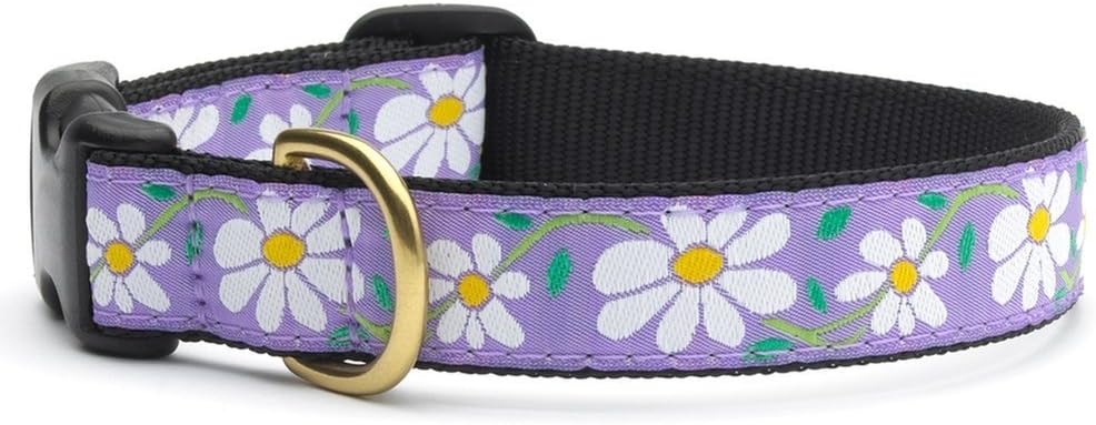 Amazon.com : Up Country Daisy Collar 