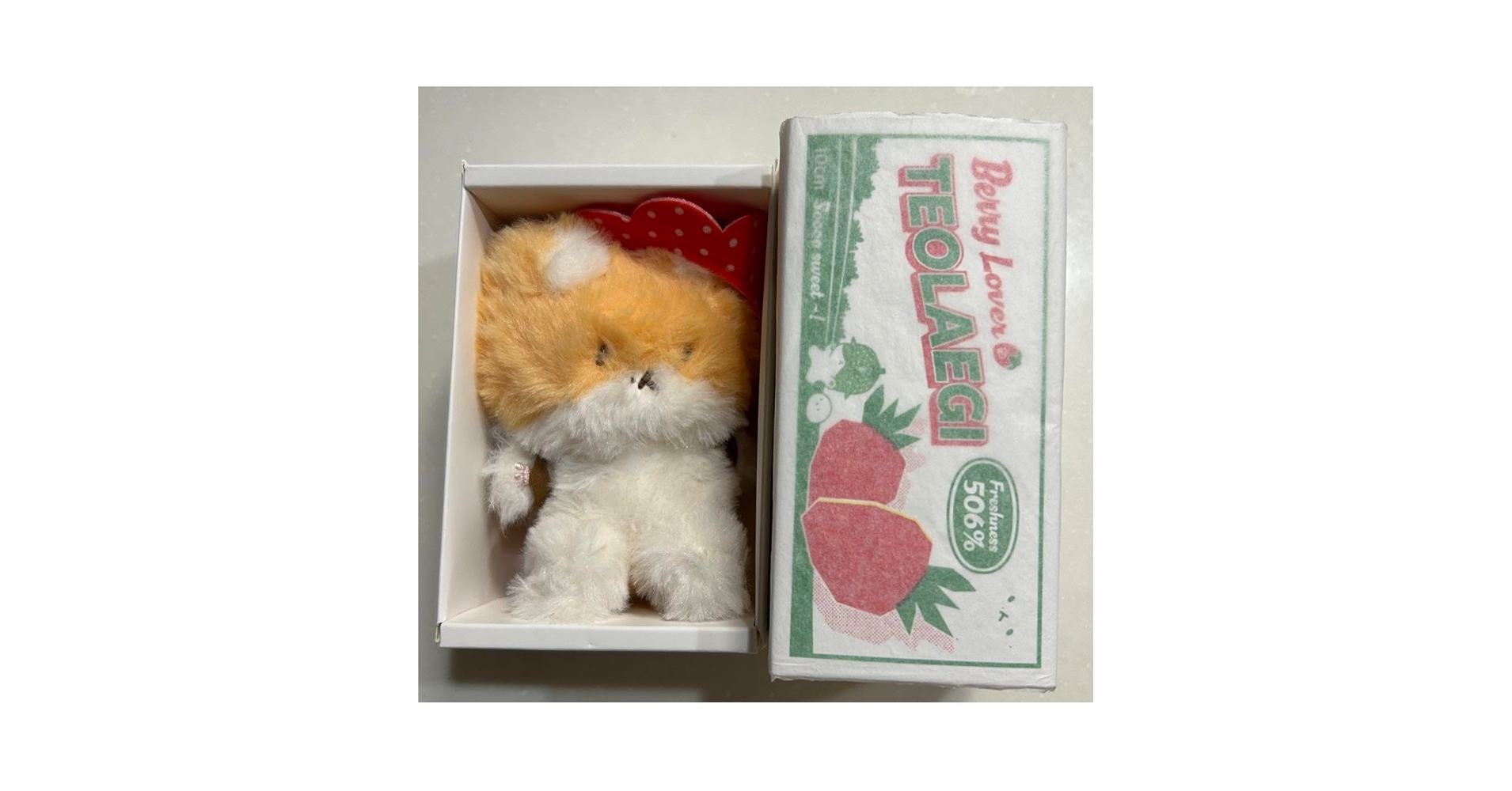 【新品・未使用】ベッキョン　トレギ　Baekhyun TEOLAEGI ラグ BAEKHYUN 백현 OFFICIAL MERCH [ 2023 TEO-LAE-GI ZIPDURI 1st