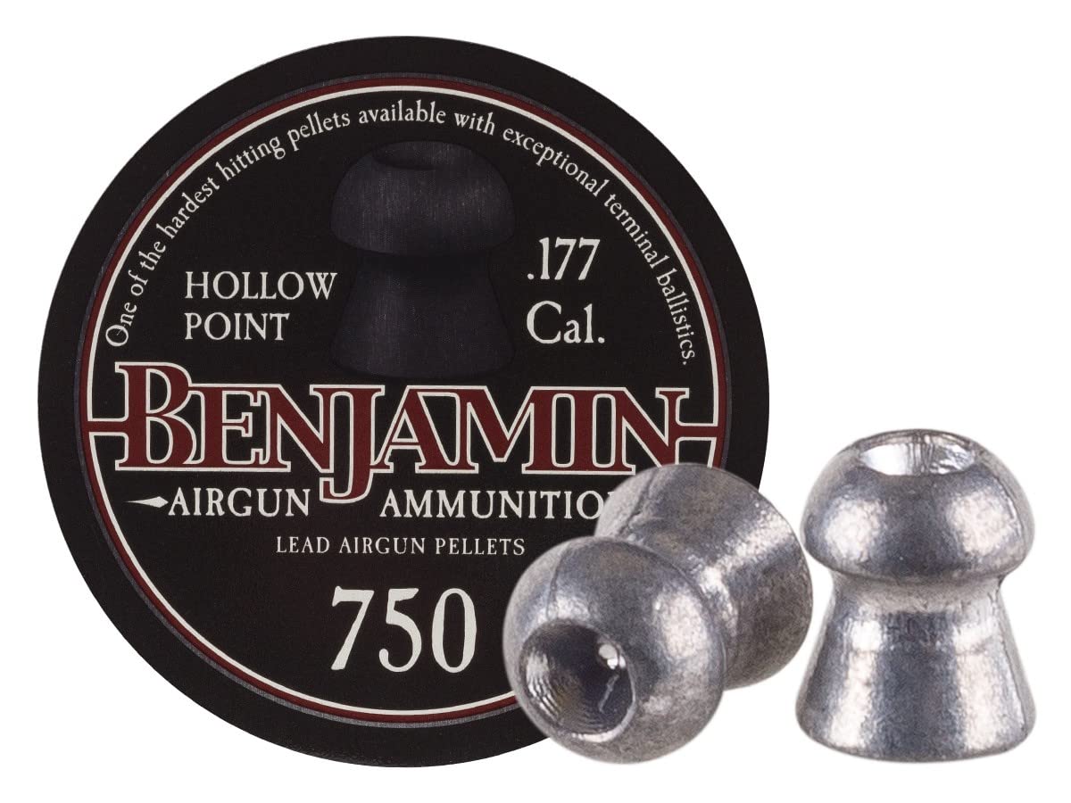 Benjamin Hollow Point