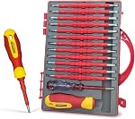 Insulated Screwdriver, HOUSERAN 26 Pcs Screwdriver Set, Magnetic Tip Electrician Tools Kit with Case, 1000V, Screw Driver with Interchangeable Blades, Electrical Screwdriver for Men Household Repair