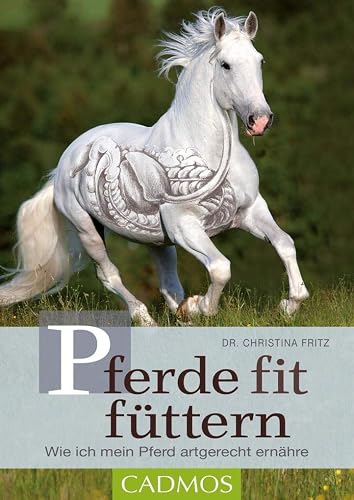 Pferde fit füttern: Wie ich mein Pferd artgerecht ernähre