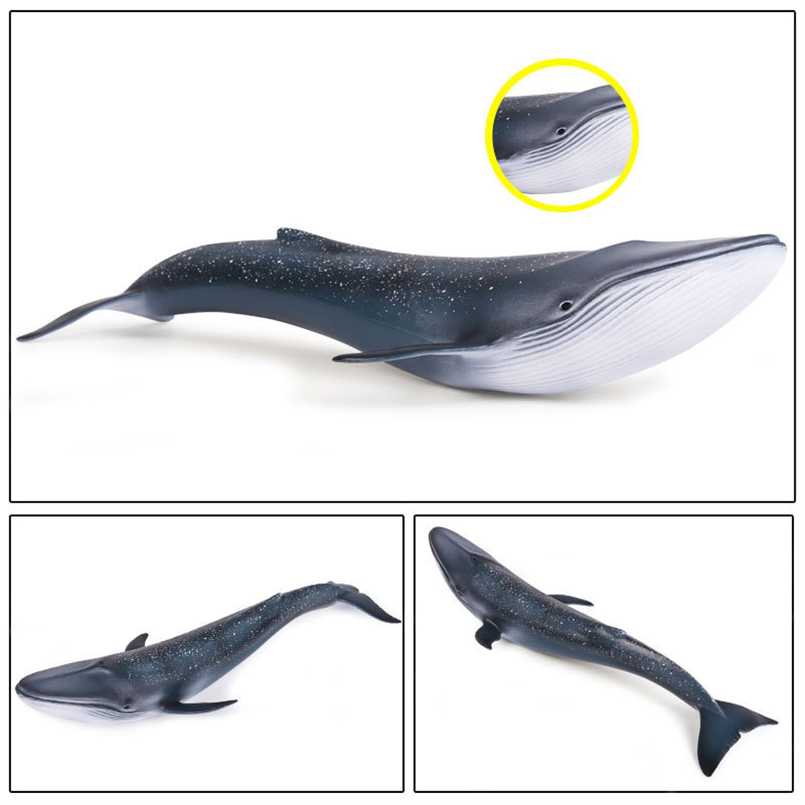 海洋堂 巨大フィギュア 全長70cm以上! シロナガスクジラ m34952234676_1.jpg?1742878925