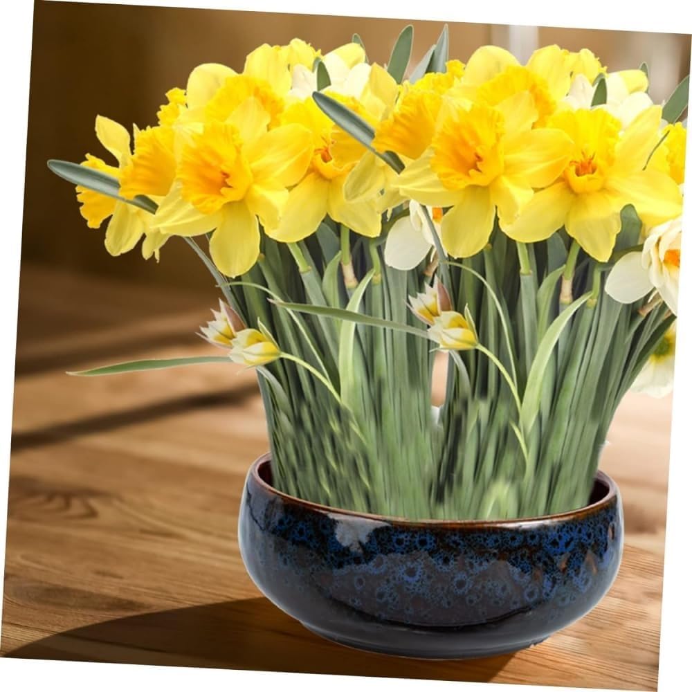Fioriera in ceramica Fioriera Fioriera in ceramica Fioriera idroponica Vaso in ceramica per fiori Piante succulente Vaso in ceramica idroponica Narciso Vaso Zen-Large