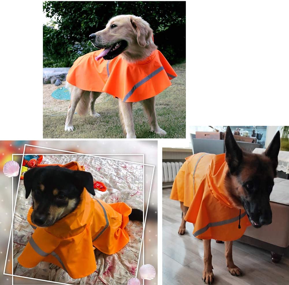 View 8