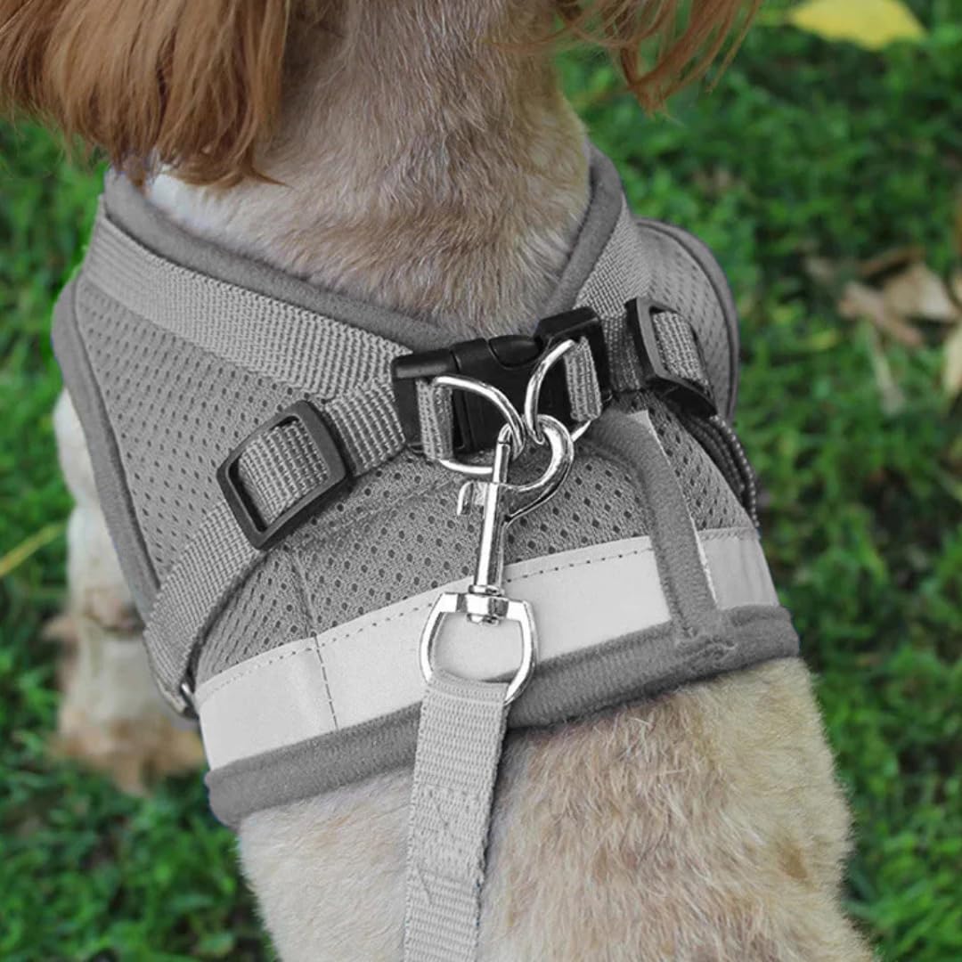 PARENCE. - Small Dog Cat Harness with Leash - Adjustable Breathable Mesh Vest Safety and Comfort for Puppies Kittens and Small Animals - Image 4