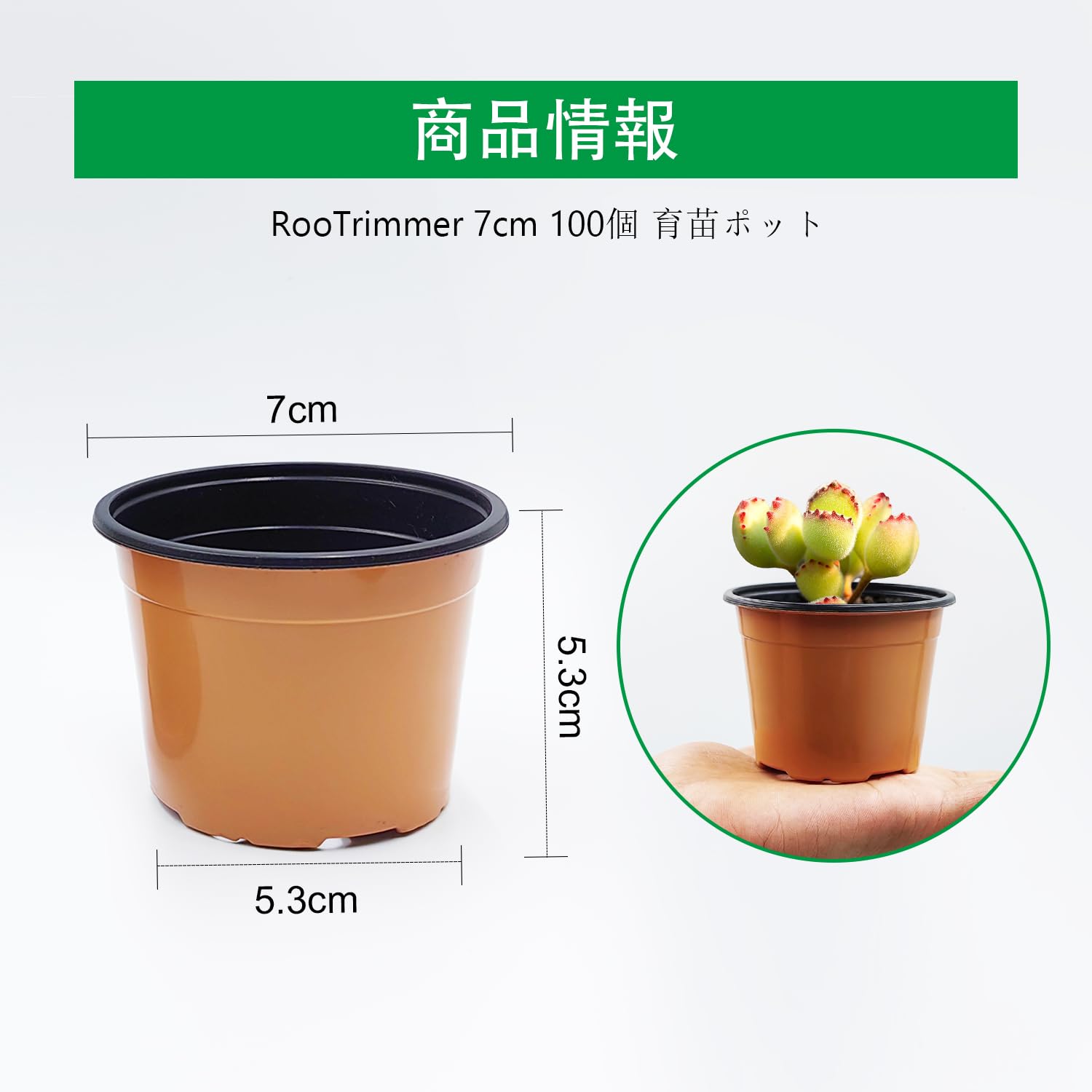 Amazon.co.jp: RooTrimmer 多肉植物 苗ポット 育苗ポット 2号 100個 
