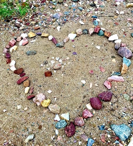 Building Resilient Student Communities Amid Loss