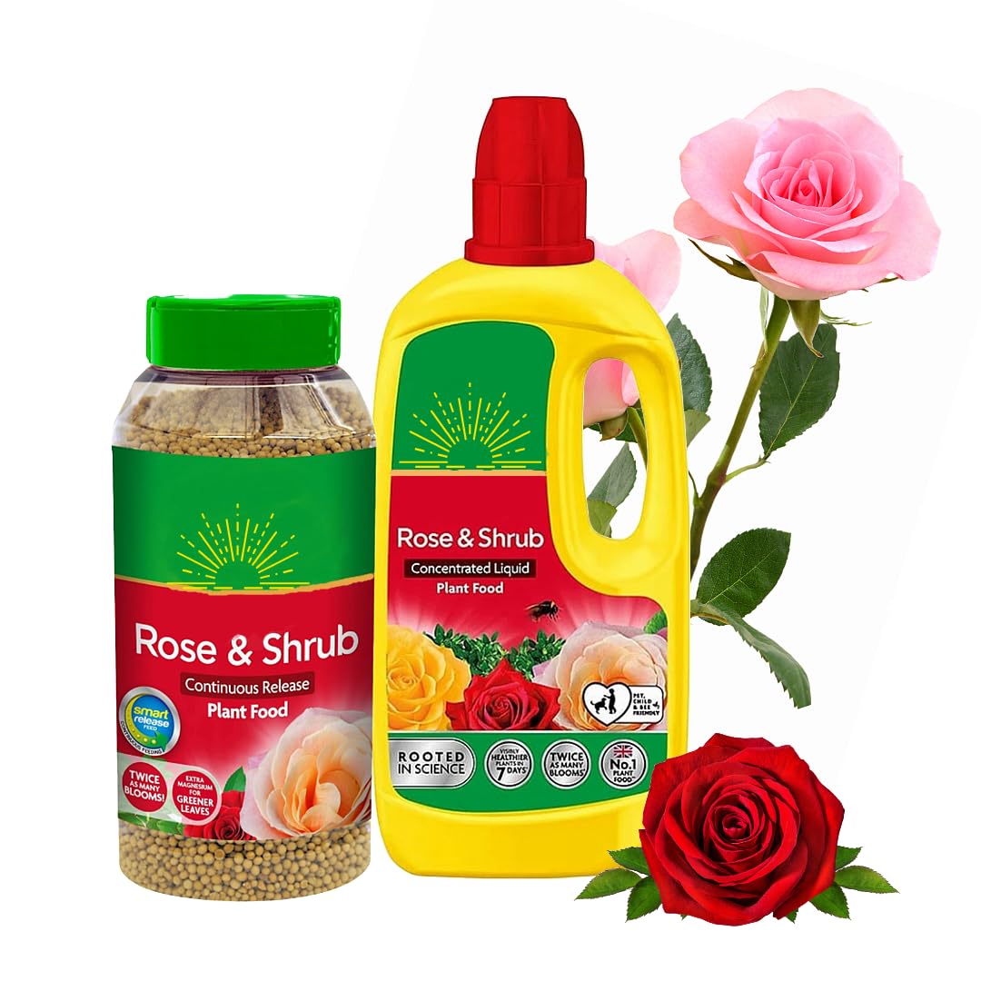 Miracle Grow Rose Feed Fertiliser - Bundle of Rose & Shrub 900g Continuous Release Plant Feed Granules & 800ml Concentrated Liquid Plant Food. Garden Plants Fertilizer for Roses with Topline Card