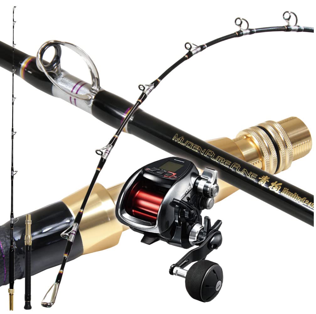 竿と電動リール