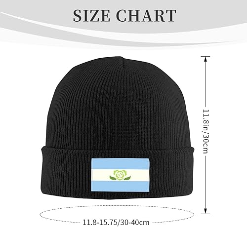 Miniatura 3 de Achillean Pride Flag LGBTQ Thickened Warm High Elastic Knitted Woolen Hat African Style with Stylish Personality Print Black