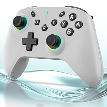 秋*山様 Switch１本体、ソフト2本、プロコン、充電 Nintendo Switch 【送料無料・即日出荷・新品】Nintendo 2 Pro