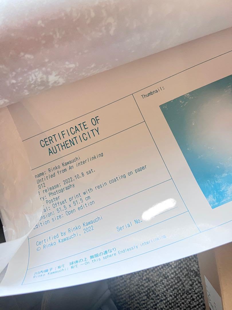 アートポスター 川内倫子 エキシビジョンポスター 現地完売品/再入荷】写真家『川内倫子』スウェーデン写真美術館