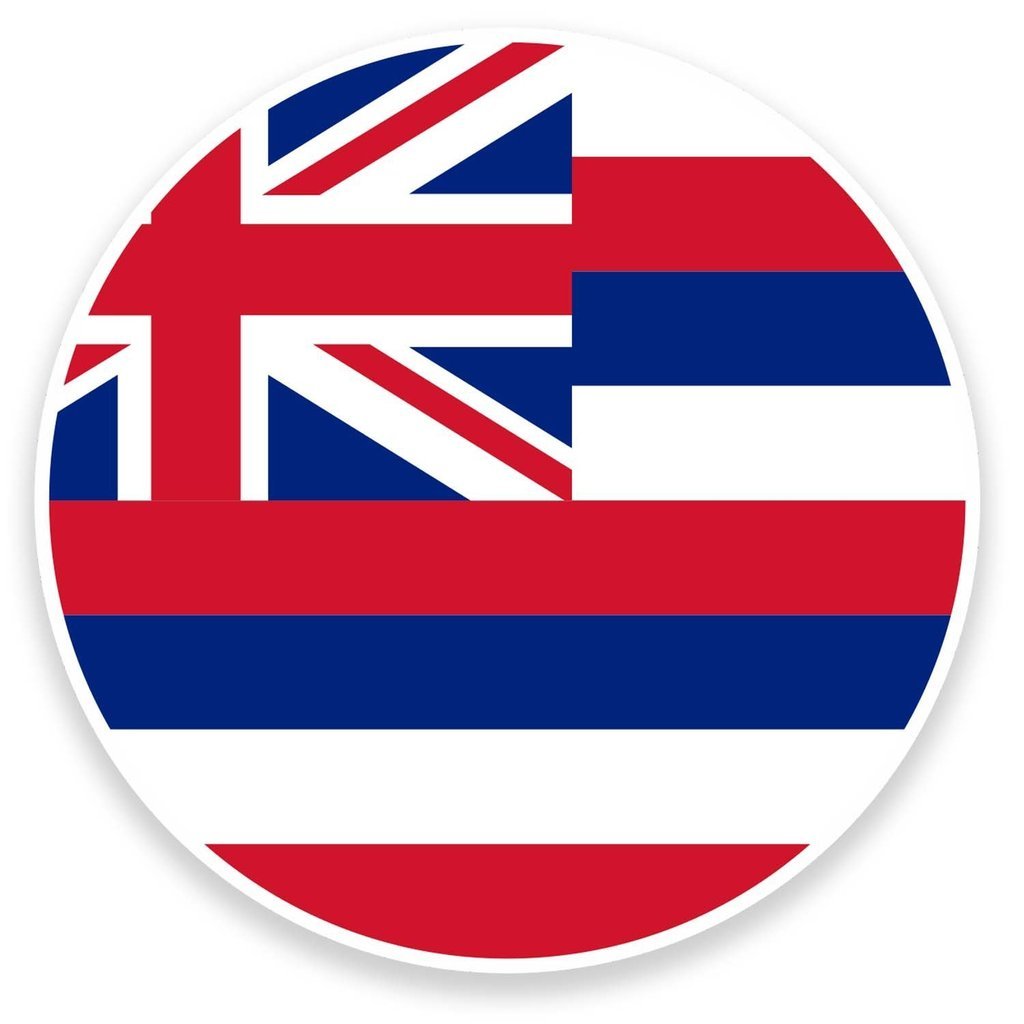 Destinationvinyl Multicolor 2 X 10Cm/100Mm Hawaii Usa Flag Vinyl Self Adhesive Sticker Decal Laptop Travel Luggage Car Bike Sign Fun #9135