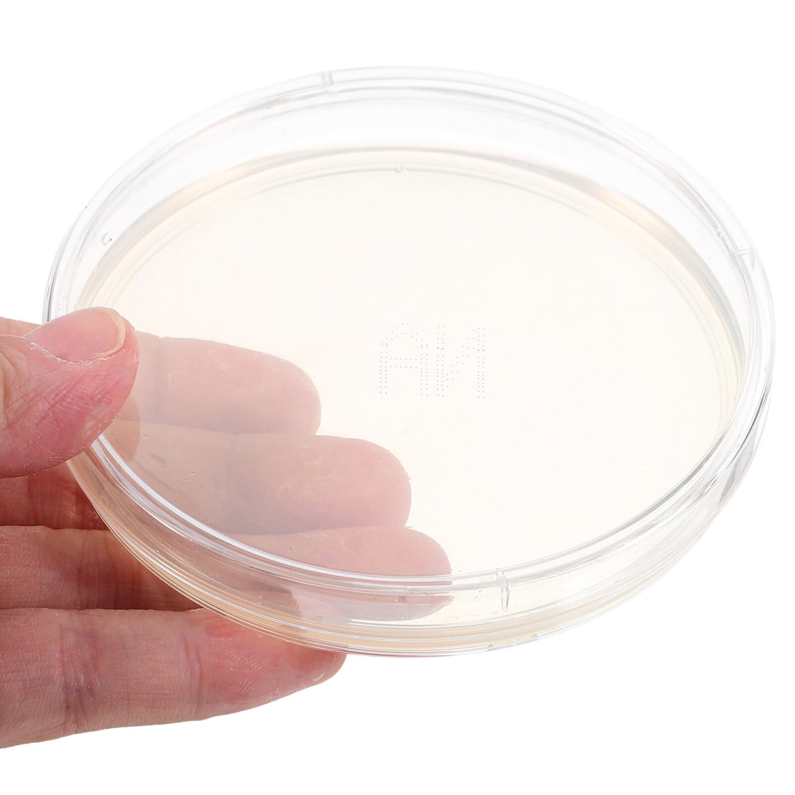SOLUSTRE 10 Piastre di Agar Pre-versate per Laboratorio Nutriente Facili da Usare per Progetti Scientifici e Sperimentazioni Mediche