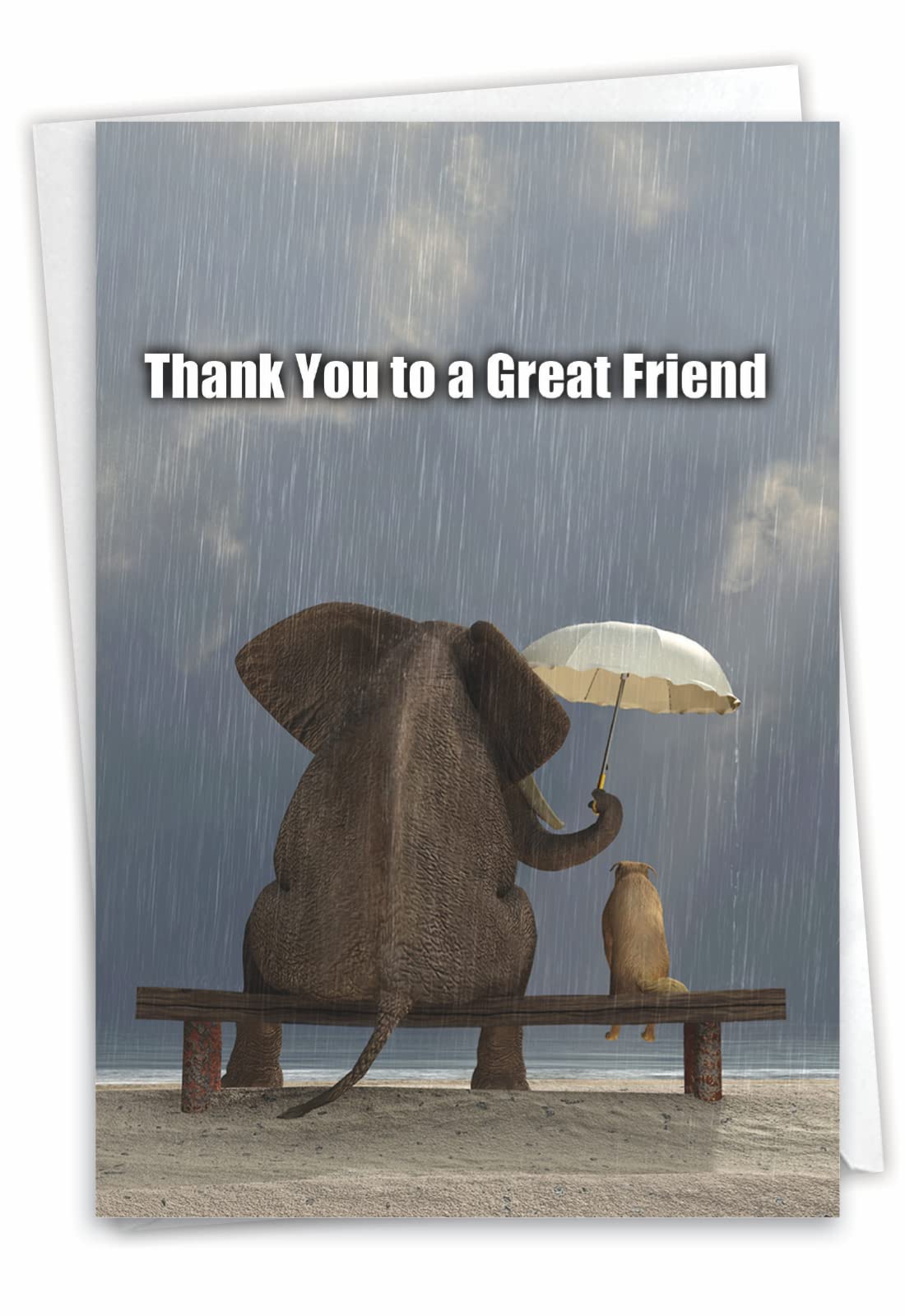 NobleWorks - Humorous Thank You Greeting Card with 5 x 7 Inch Envelope (1 Card) - Thank You To A Great Friend 9106