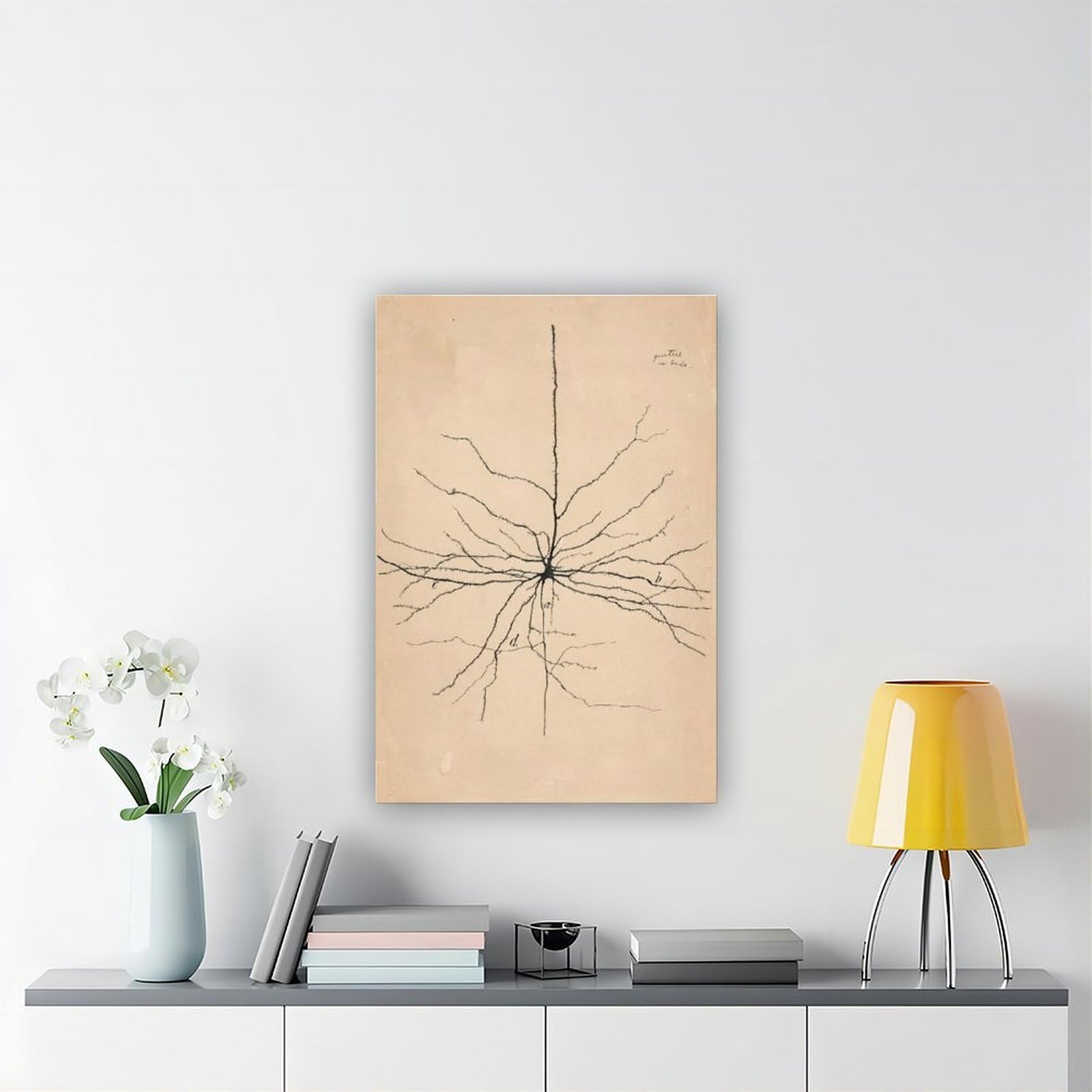 WCYB Pyramida Neuron Drawing From Santiago Ramón Y Cajal 1904 Poster stampe su tela Deco Dipinti Wall Art Hangable Frame 20,3 cm L x 30,5 cm W