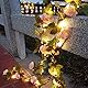 cuzile Solar Garten Pfahl Lichter im Freien, Upgraded LED Solar Powered Lichter, Solar Dekorative Lichter AP8 Modi Blinken Beleuchtung Solar Rose Lichter für Patio Pathway Hof Garten Rasen